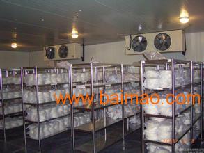 杭州食用冰塊批發與供應全指南 價格、廠家及運輸服務解析