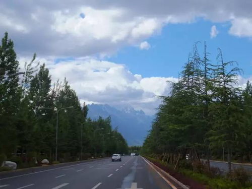 9月1日起云南道路旅客運輸站經營多項費用取消，惠民新政全面解讀