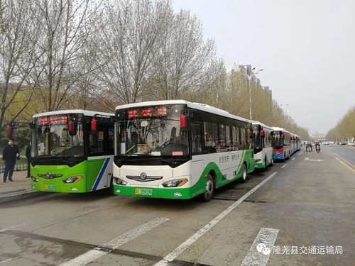 我縣道路旅客運輸基本恢復運行 道路旅客運輸站經營穩步推進